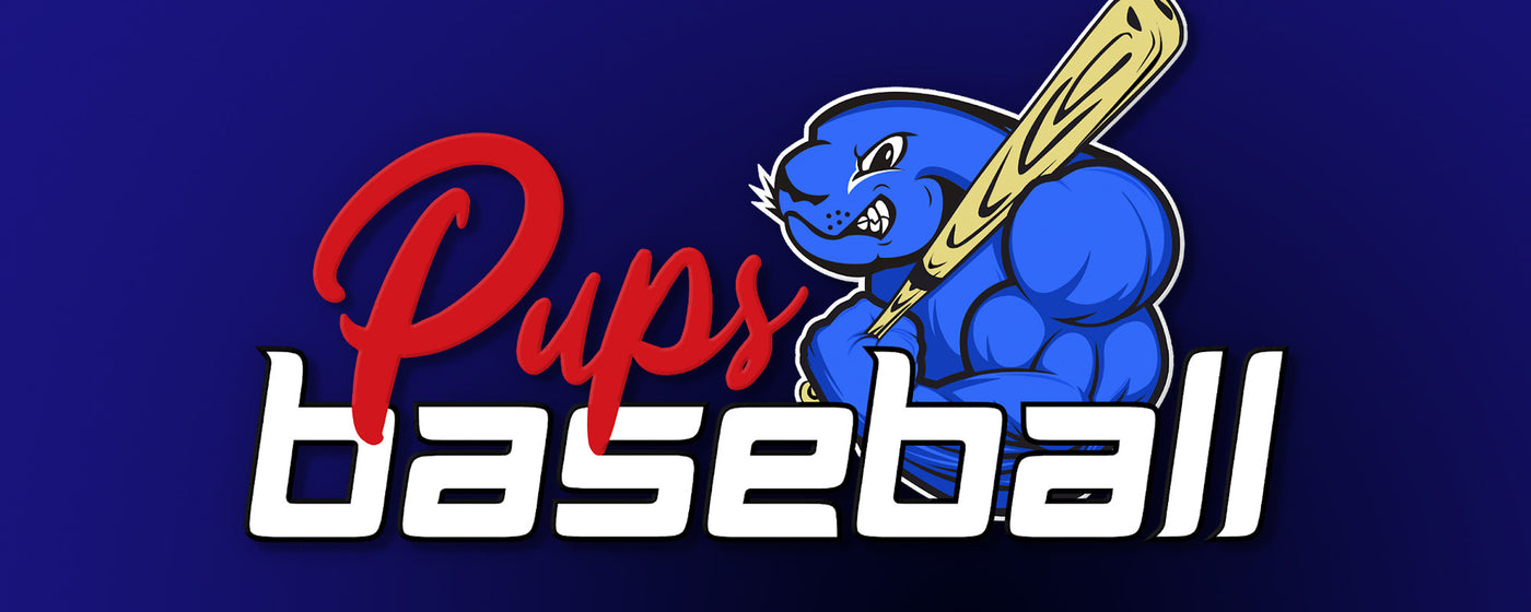 VBLL Pups Baseball